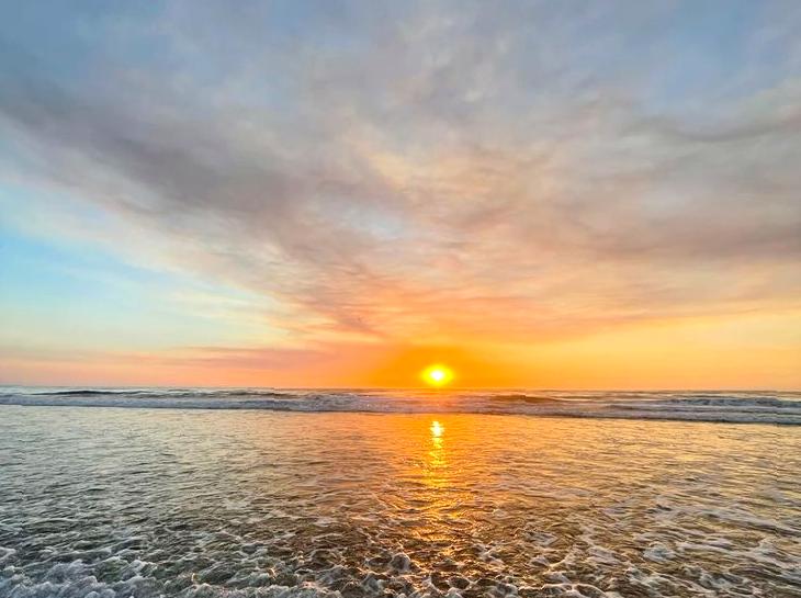 Exploring the Aquatic Landscape of Mission Beach