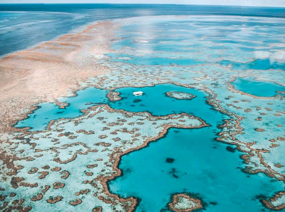 Exploring the Wonders of the Saxon Reef Area