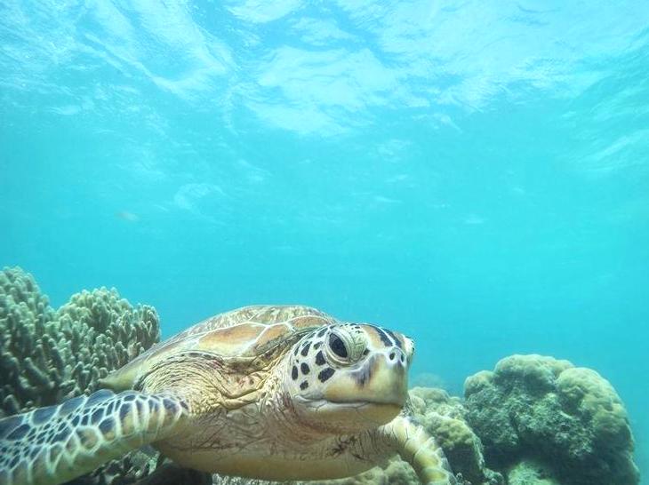 Navigating the Mackay Cay Route