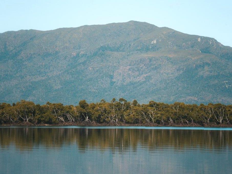 Exploring Hinchinbrook Channel's Scenic Coast