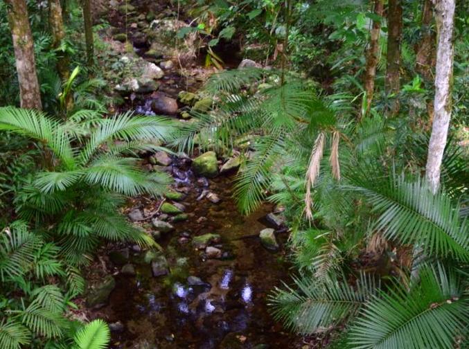 Journey through the Agincourt Reef Region